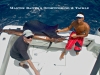 08-10-2008-discovery-thomas-harris-10hrs-corb-sail-marlin-009-wtext