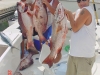 489-fishingpargochappy
