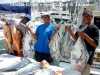 www-masterbaiters-com_-mx-pinit-0013-pompano-y-snappers