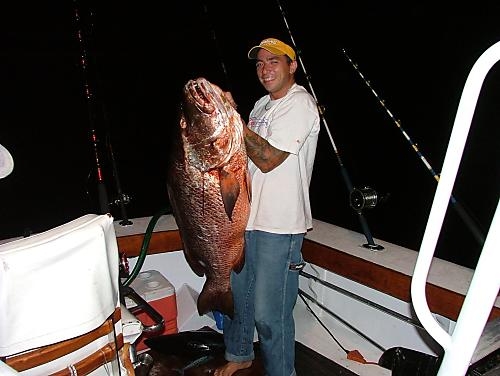 60 lb Pargo / Cubera Snappr