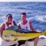 Dorado Hermoso RedPix Nice Bull Dorado