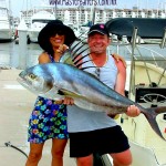 Roosterfish at Marietta Islands Roosterfish at Marietta Islands