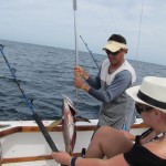 Football Yellowfin Tuna on the Gaff Football Yellowfin Tuna on the Gaff