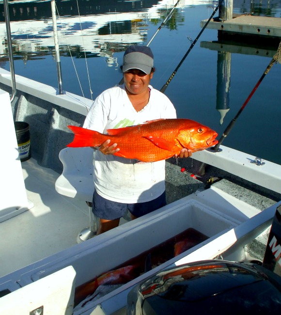 01 04 2011 Snapper, Bela Del Mar, 8 hrs, RedPix