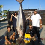 427 lb Yellowfin Tuna at Tres Maria Islands World Record Yellowfin Tuna at 427.9 lbs