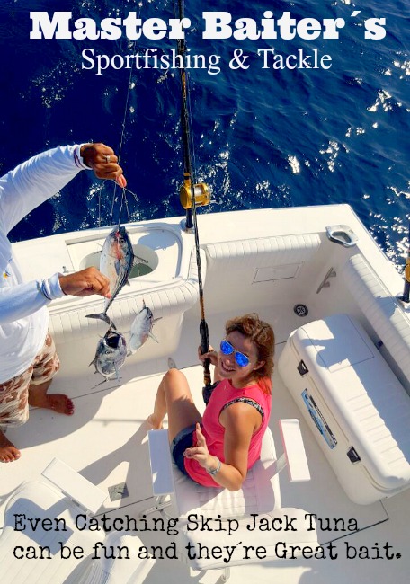 Even Skippies can be fun to catch, they taste great and they're a great bait as well.....