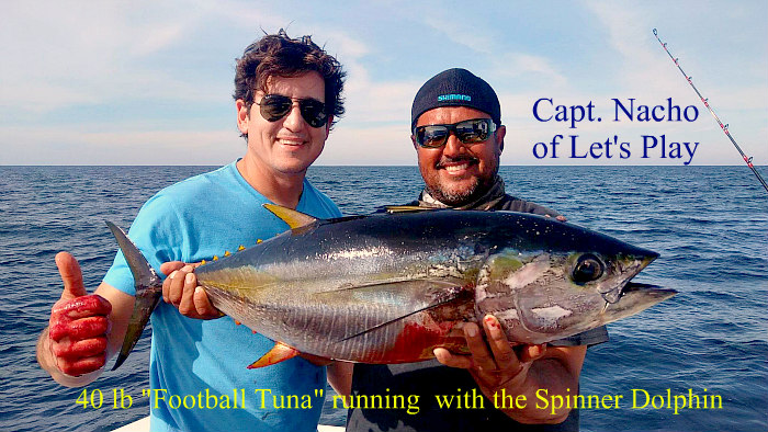 Changing Conditions, Winter Species Moving in, Stripers, Tuna and Roosters!  - Master Baiter's Sport Fishing & Tackle Puerto Vallarta