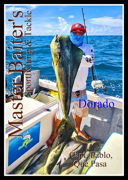 It's all About Dorado and Sailfish - Master Baiter's Sport Fishing