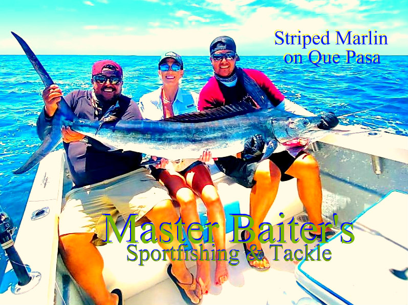 Puerto Vallarta's Fishing, Fickle Fish, Massive Bait! - Master Baiter's Sport  Fishing & Tackle Puerto Vallarta