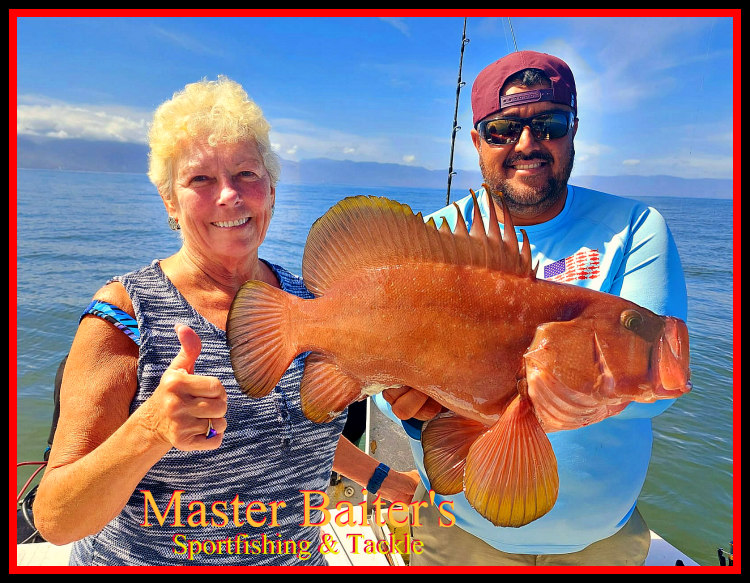 Puerto Vallarta's Fishing, Fickle Fish, Massive Bait! - Master Baiter's  Sport Fishing & Tackle Puerto Vallarta