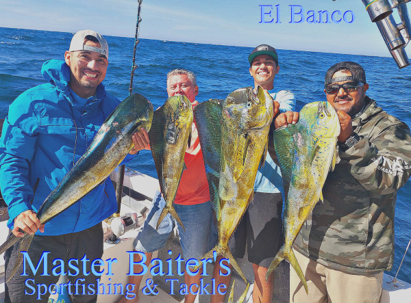 Spring “Maybe” Fishing, Dorado, Sailfish, Bass - Master Baiter's