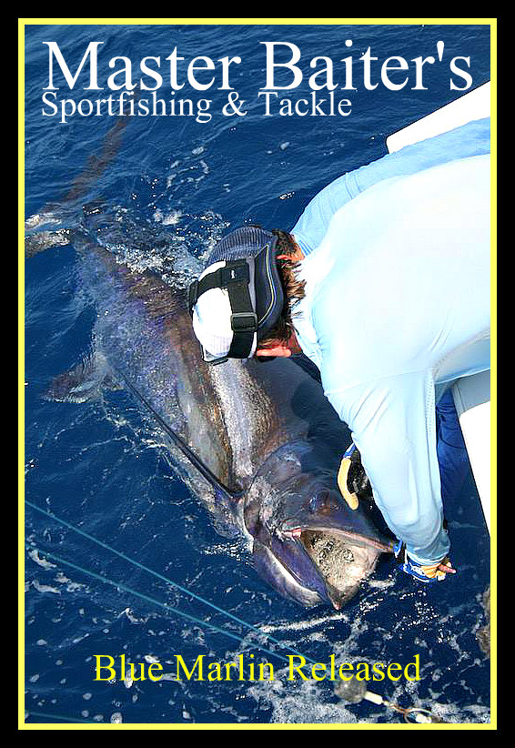It's “Pick Your Fish” time again, Sailfish, Dorado, Marlin, Fishing is  Great! - Master Baiter's Sport Fishing & Tackle Puerto Vallarta