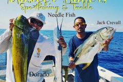 01 02 2019 Mixed Bag in Bay 650 pxls M