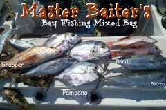 01 25 2018 Mixed bag pompano, mackerels, bonito 650 pxls MBText