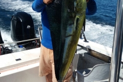 02 11 2018 Capt Keiko Profetta 8 hrs d