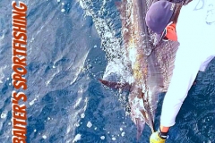 02 14 2018 Sailfish Released 600 pxls MBText