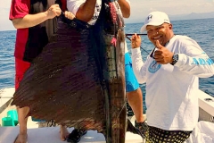 02 20 2018 Sailfish in the bayA 650 pxls MBText