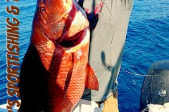 02 28 2018 Cuberra Snapper 650 pxls MBText