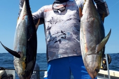 03 02 2018 Yellowfin Tuna Footballs, 2 El Morro