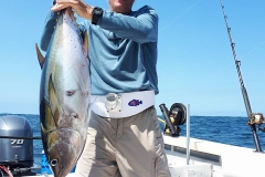 03 02 2018 Yellowfin Tuna Footballs, El Morro