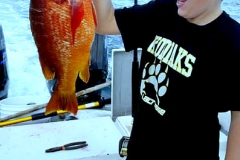 03 28 2018 Snapper at Ameca River 650 pxls MBText