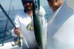 04 22 2018 Arctic Bonito