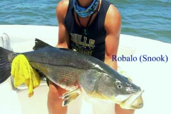 05 20 2018 Robalo at Boca Tomates, 20 lbs 600 pxls MBText
