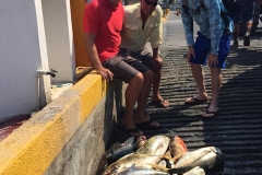 05 23 2018 Brad, Kyle and friend Days catch around Structure.