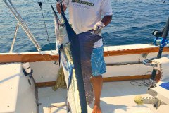 05-26-2019-Capt-Ceasar-Magnifico-Stripers-in-the-bay-1-Orig-Enhanced-650-pxls-MBText
