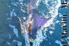 05-26-2019-Capt-Ceasar-Magnifico-Stripers-in-the-bay-2-Orig-Enhcd-MBText