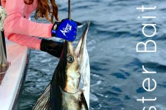 05-26-2019-Striper-pic-66550-pxls-MBText-1