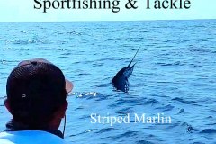 06-18-2019-Striper-surface-650-pxls-MBText