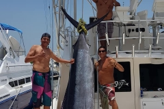 07 04 2018 Animal House Marlin