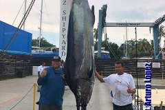 07 20 2018 Black Marlin at El Banco 700 pxls MBText