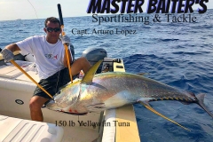 07 20 2018 Yellowfin Tuna at Corbetena 650 pxls MBText