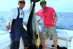 08 05 2018 Yellowfin Tuna, 715 pxls MBText