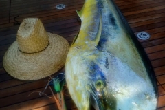 08 08 2018 Puerto Escondido, Nachos