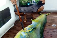 08 08 2018 Puerto Escondido, Nachos 2