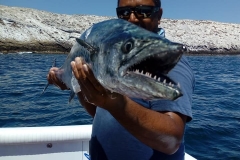 08 08 2018 Puerto Escondido, Nachos Wahoo