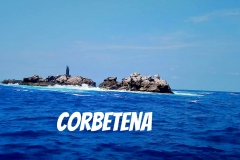 08 22 2018 Corbetena The Rock