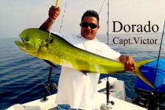 08 23 2018 Capt Victors Dorado