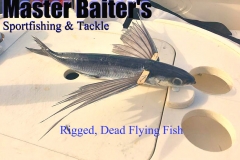 09 02 2018 Rigged Flying Fish Bait Cropped 600 pxls MBText