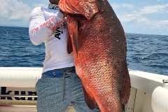 09 03 2018 Cubera Snapper, Guillermo Rodriguez Ayvar, Orig MBText