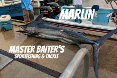 09 16 2018 Black Marlin, el Banco 800 pxls MBText