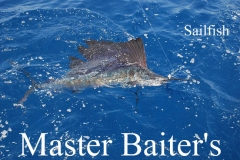 10 02 2018 Sailfish at Corbetena 600 pxls MBText