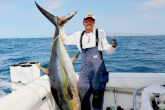 10 10 2018 Rooster Fish, Tres Maria Islands, 300 lb yellowfin tuna