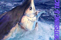 10 17 5018 Marlin Seq 02 Orig 950 pxls MBText