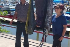 10 25 2018 Dorado, Sailfish, Punta mtia, 8 hrs ORIG 03