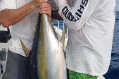10 26 2018 Tuna at Corbetena 03