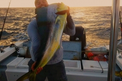 10 28 2018 Chema Sunset Dorado 700 pxls MBText